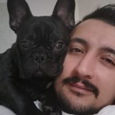 10 Aylık French Bulldog Tüm Aşıları Tam